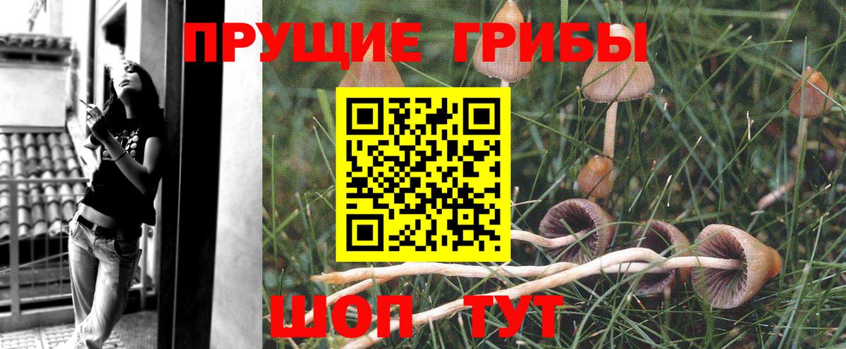Ростов Великий  Псилоцибиновые грибы Magic Shrooms  Псилоцибиновые грибы Magic Shrooms  Вход с VPN 