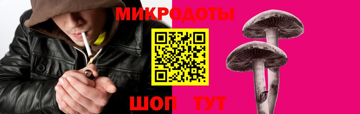 Гашиш Ростов Великий